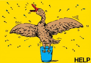 Help (duck)