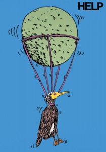 Help (cormorant)