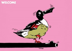 Welcome (common shoveller)